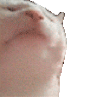 Canhheo