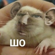 loxloxloxlox