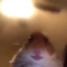 TheOneLoserDude