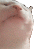 ꧁༒𒈞☬ᤂℌ໔⅒๖ۣۣۜX℟₦ツℜ؏ৡ☬𒈞༒꧂