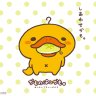 aozorakinoko