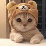 Mood1kitty