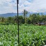 Ahmadpamuji3