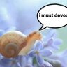 u_snailed_it