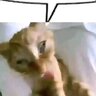 Otong_69