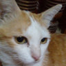 miwza_007