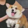 peaslsq