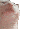杜恺文