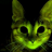 Alleycats