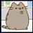 -CAT-