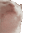 kravov666