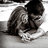 Ionut Alex 4545